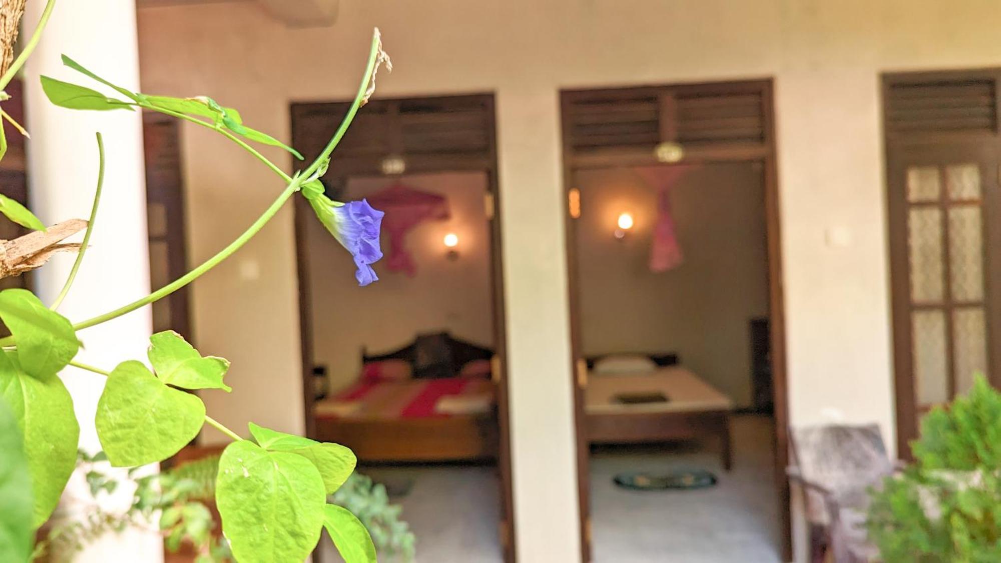 ホテル Mila Rest Garden ミリッサ エクステリア 写真