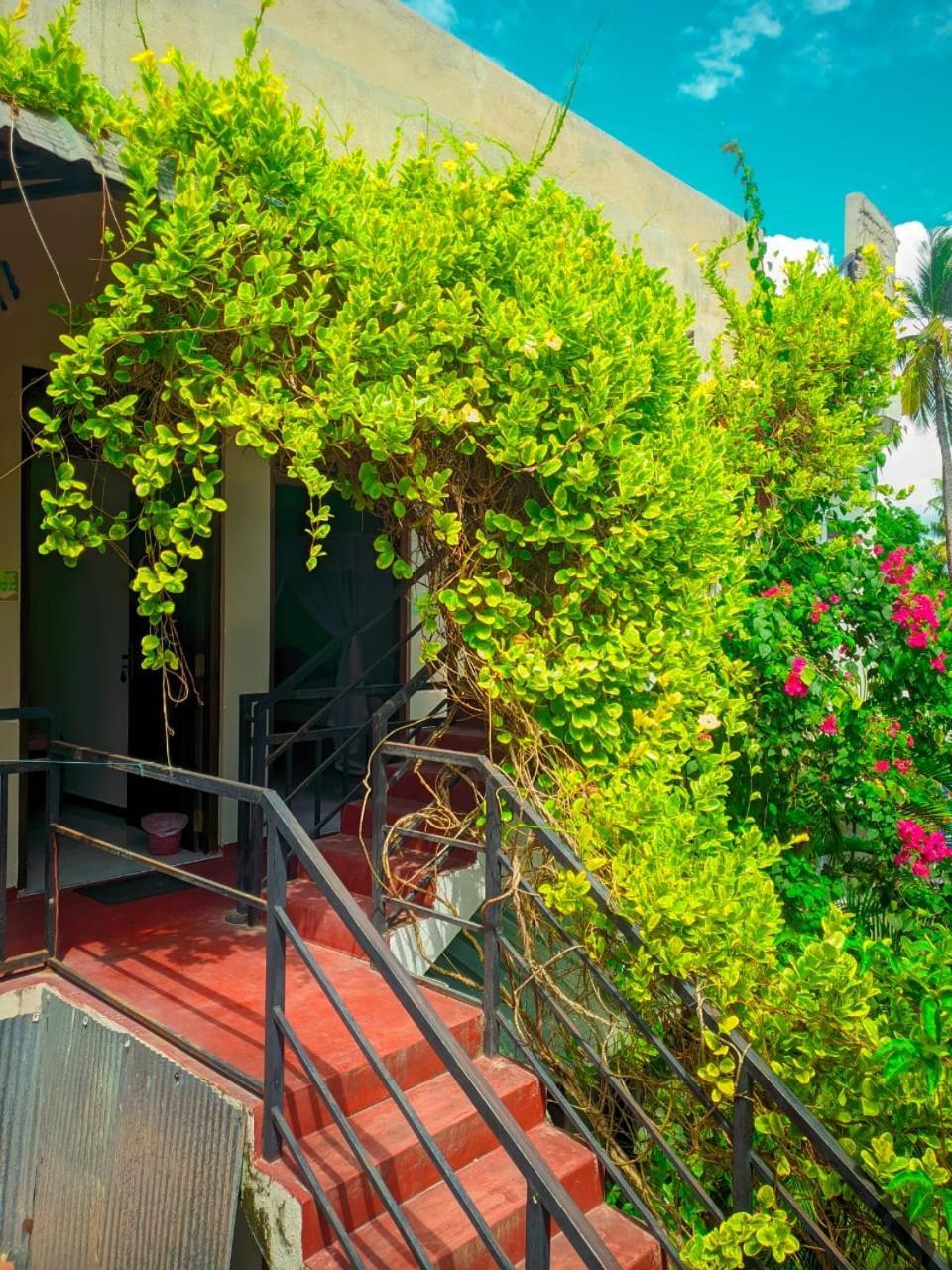 ホテル Mila Rest Garden ミリッサ 部屋 写真